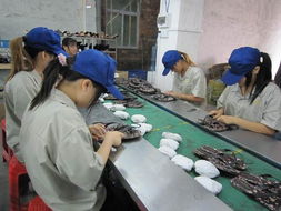 東莞安盈驗貨服務 保潔服務行業的品質守護者